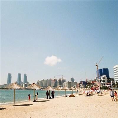 黎明之城手游下载