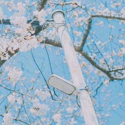 原神小米版手游下载