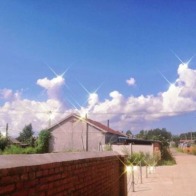 荒野乱斗360版官方版下载