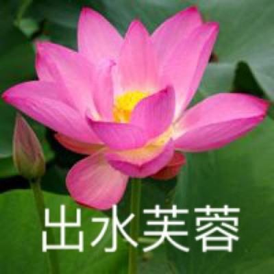 嘘嘘模拟器最新版下载